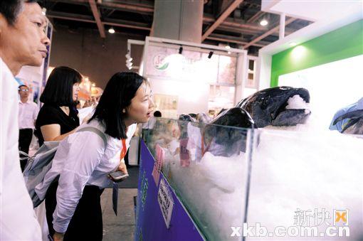 韓國(guó)歐巴喂你吃點(diǎn)心 美食展覽新福利(圖2)